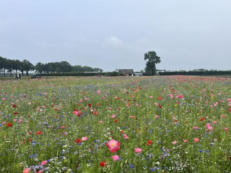 Biodiversiteit in de wereld van onze telers